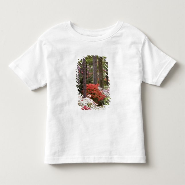 Camiseta De Bebé EEUU, Georgia, Montaña Pina. Un bosque de (Anverso)