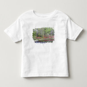 Camiseta De Bebé EEUU, Georgia, Montaña Pina. Una pequeña cascada
