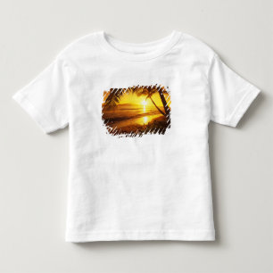 Camiseta De Bebé EEUU, Hawaii, Maui, colorida puesta de sol en 2