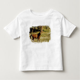 Camiseta De Bebé EEUU, Oregón. Caballo en el campo de las margarita