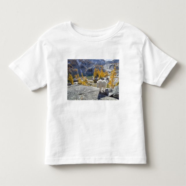 Camiseta De Bebé EEUU, WA, los lagos alpinos y los encantos de la m (Anverso)