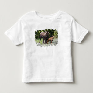 Camiseta De Bebé EEUU, Wyoming, Montañas Bighorn, Alces de alce