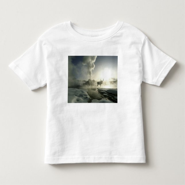 Camiseta De Bebé EEUU, Wyoming, Parque Nacional Yellowstone. Sunris (Anverso)