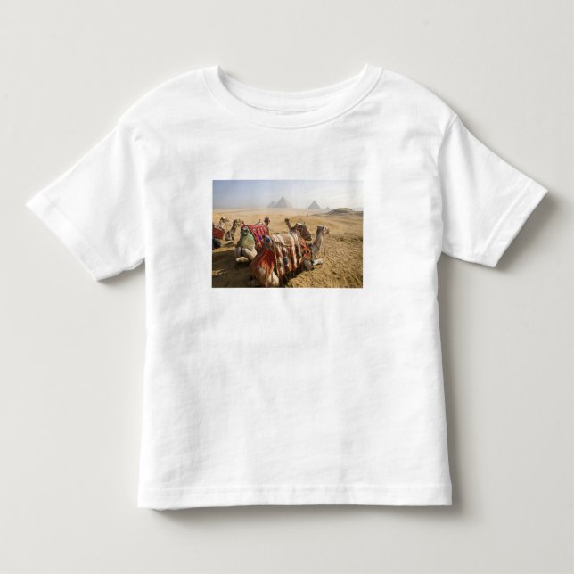 Camiseta De Bebé Egipto, El Cairo. Restos de camellos (Anverso)