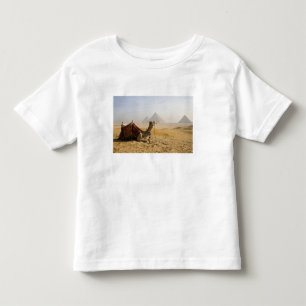 Camiseta De Bebé Egipto, El Cairo. Un camello solitario