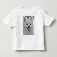 El agudo spitz japonés
