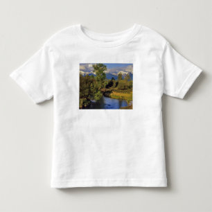 Camiseta De Bebé El arroyo de la Misión en la Cordillera Nacional 