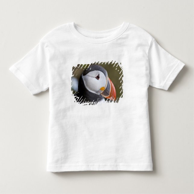 Camiseta De Bebé El atlántico Puffin, un ave marina pelágica (Anverso)