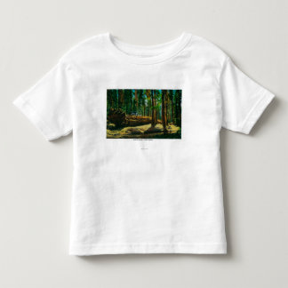 Camiseta De Bebé El bosque gigante de la clave auto, secoyas