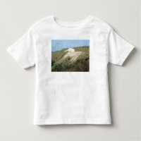 El caballo blanco de Westbury