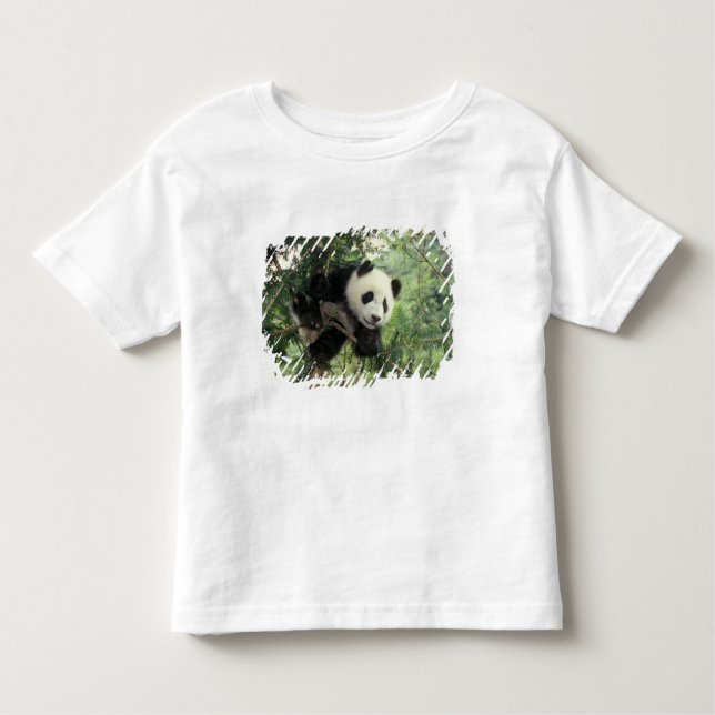 Camiseta De Bebé El cachorro gigante Panda trepa un árbol, el valle (Anverso)