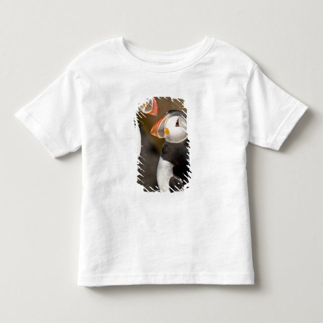 Camiseta De Bebé El frailecillo atlántico (Anverso)