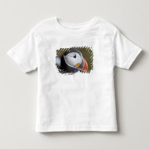 Camiseta De Bebé El frailecillo atlántico, un ave marina pelágica