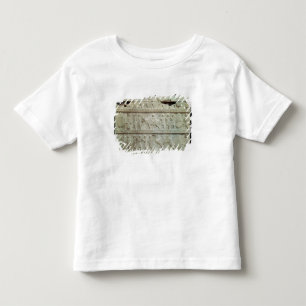 Camiseta De Bebé el friso del alivio en la escalera del este