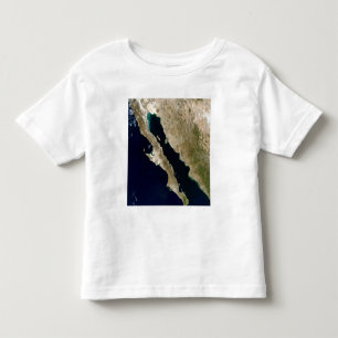 Camiseta De Bebé El golfo de California