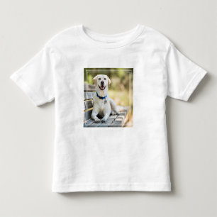 Camiseta De Bebé El Labrador Amarillo Está En El Banco