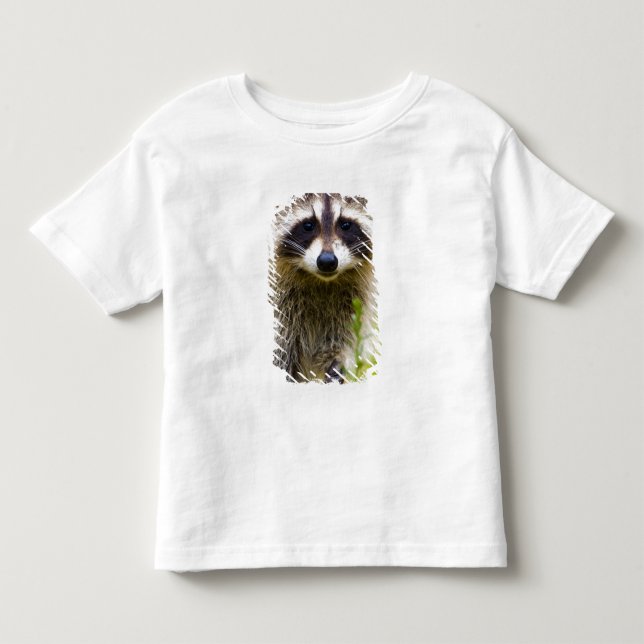 Camiseta De Bebé El mapache, Procyon lotor (Anverso)