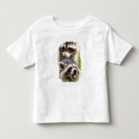 El mapache, Procyon lotor, es un fenómeno generali