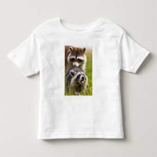 Camiseta De Bebé El mapache, Procyon lotor, es un mamífero omnívoro