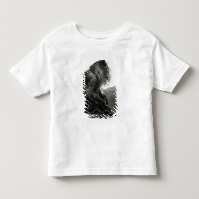 Camiseta De Bebé El mono indio de Waderoo (Anverso)