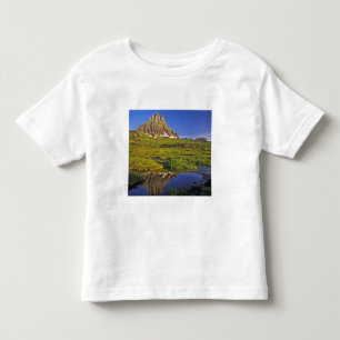 Camiseta De Bebé El Mt Clements se refleja en una pequeña piscina e