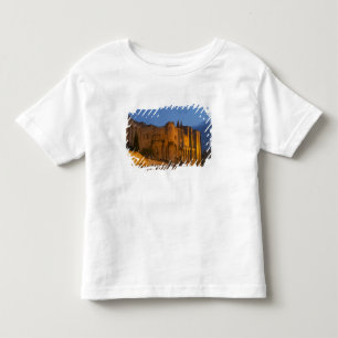 Camiseta De Bebé El Palacio del Papa en Aviñón al atardecer. Constr