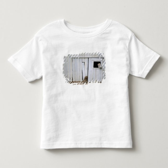 Camiseta De Bebé El pegarse del caballo dirige hacia fuera la (Anverso)