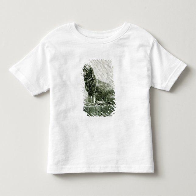 Camiseta De Bebé El perro Jacob (Anverso)