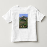 El pueblo de San Gimignano se asienta en las ondul
