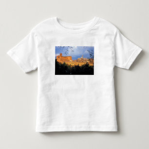 Camiseta De Bebé El pueblo toscano de Sienna, Italia.
