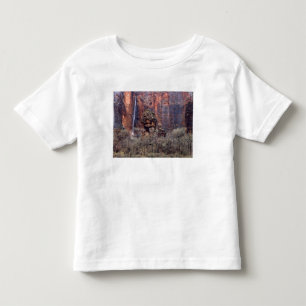 Camiseta De Bebé El Púlpito y cascada efímera