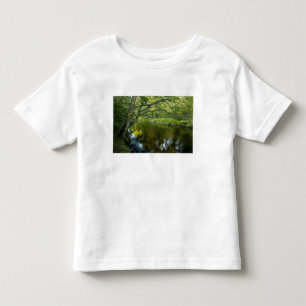 Camiseta De Bebé El río Taunton en Bridgewater, 2