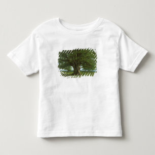 Camiseta De Bebé El roble de Flagey, llamado Vercingetorix