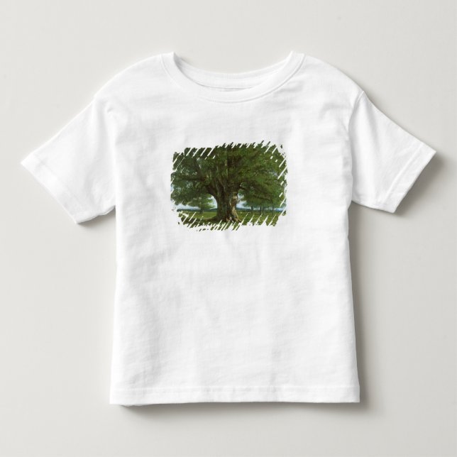 Camiseta De Bebé El roble de Flagey, llamado Vercingetorix (Anverso)