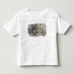 Camiseta De Bebé El sepulcro de poco Nell