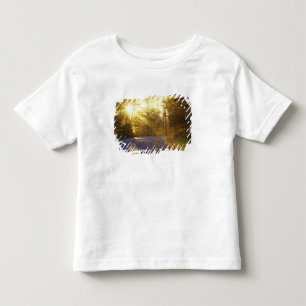 Camiseta De Bebé El sol estalla a través del bosque sobre la carret