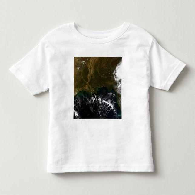 Camiseta De Bebé El sureste de Estados Unidos (Anverso)