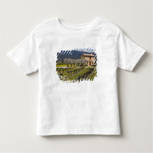 Camiseta De Bebé El viñedo inactivo, fruta florece, la casa de