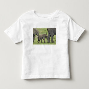 Camiseta De Bebé Elefante africano hembra con cría