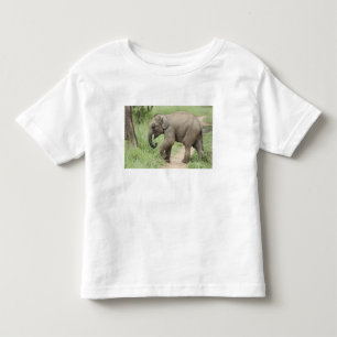 Camiseta De Bebé Elefante bebé siguiendo a la madre, Corbett