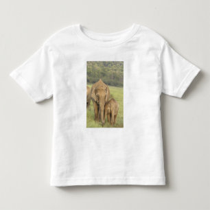 Camiseta De Bebé Elefante indio / asiático y cría, Corbett