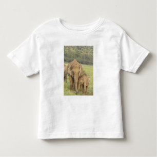 Camiseta De Bebé Elefante indio/asiático y joven, Corbett