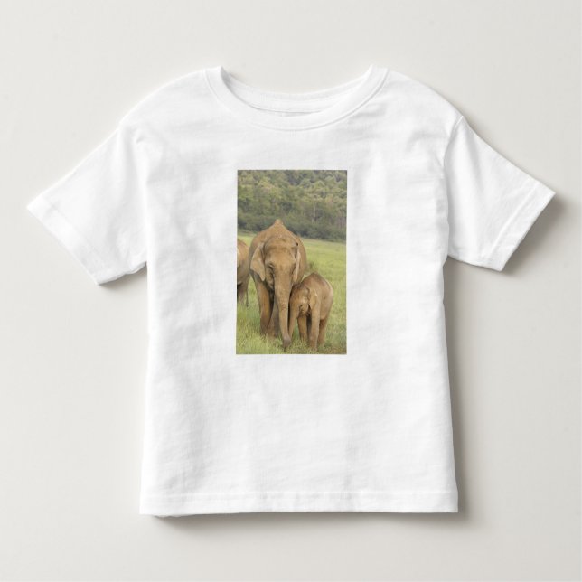 Camiseta De Bebé Elefante indio/asiático y joven, Corbett (Anverso)
