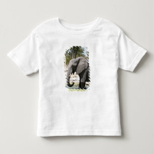 Camiseta De Bebé Elefante (Loxodonta africana), Canal de Savute