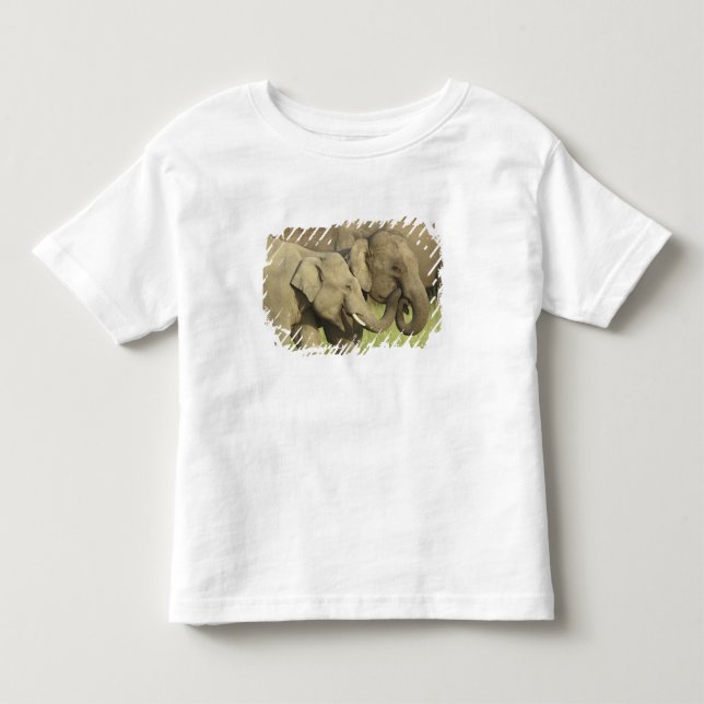 Camiseta De Bebé Elefantes asiáticos indios (Anverso)