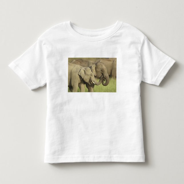 Camiseta De Bebé Elefantes asiáticos indios (Anverso)