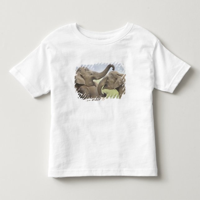 Camiseta De Bebé Elefantes asiáticos indios jugando a pelear (Anverso)