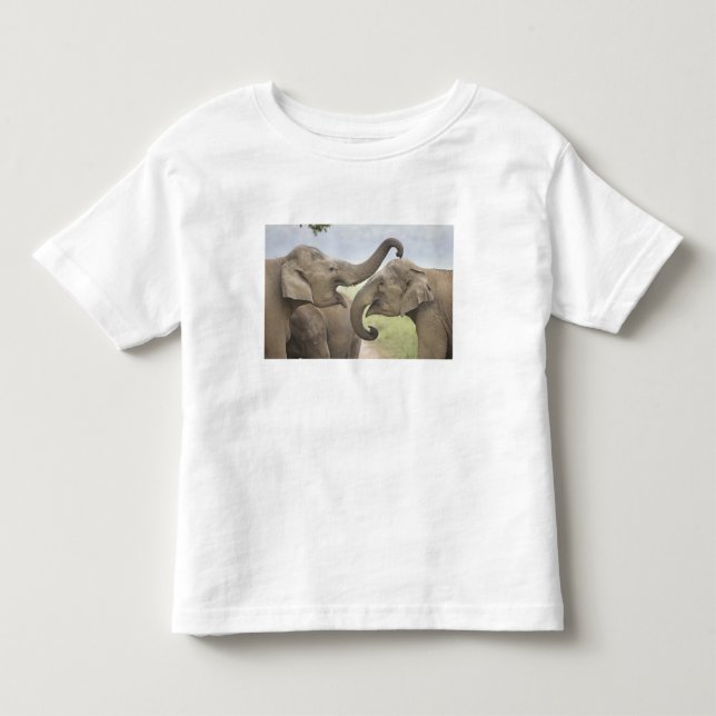 Camiseta De Bebé Elefantes asiáticos indios jugando a pelear (Anverso)