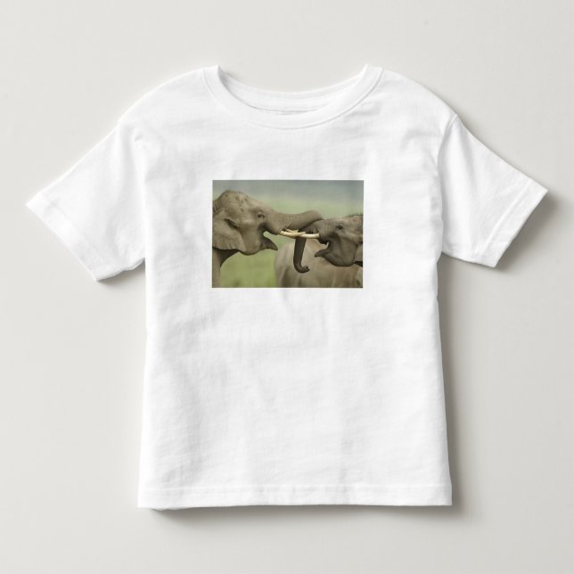 Camiseta De Bebé Elefantes asiáticos indios jugando a pelear (Anverso)