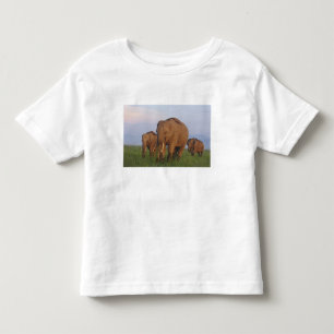 Camiseta De Bebé Elefantes indios en la pradera